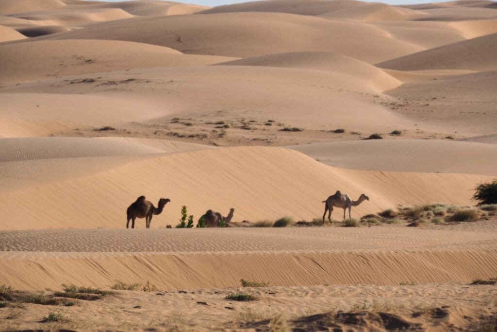 Mauritania