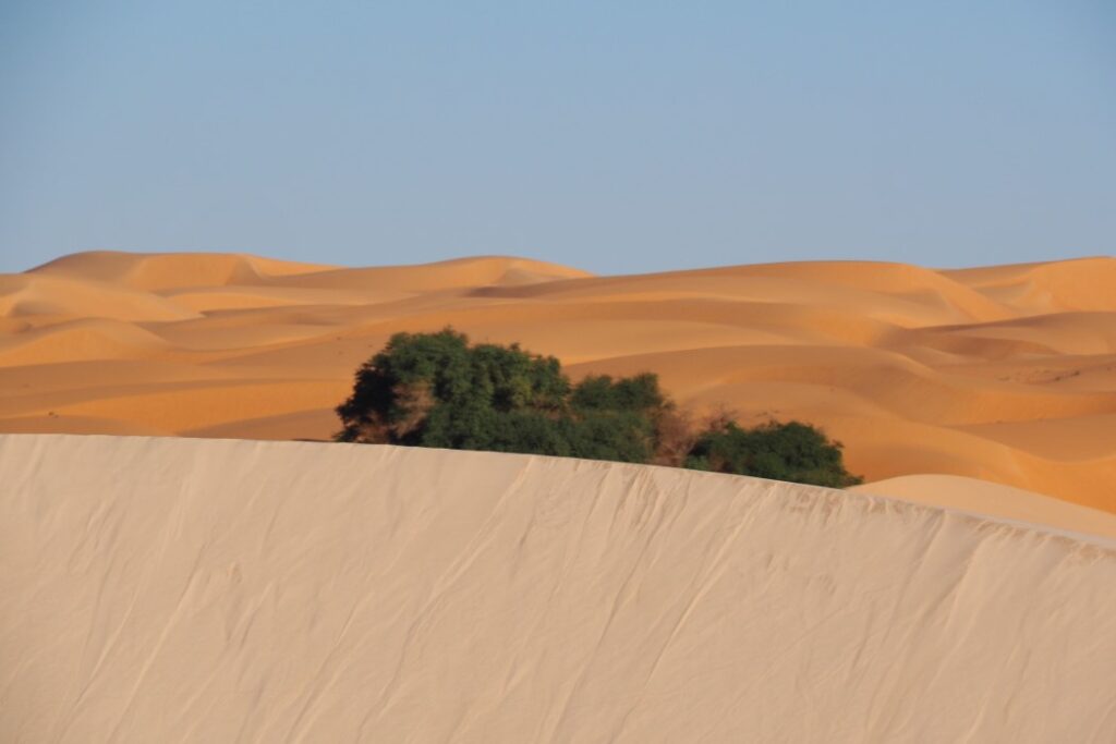 Mauritania