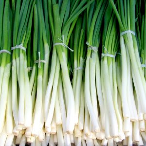 Frittatine alle zucchine con cipollotti, menta e basilico