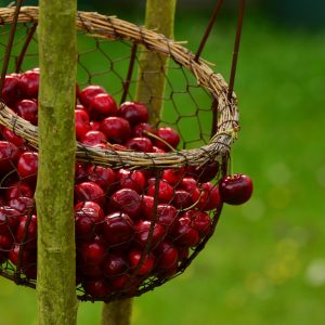 Ricette estive con le ciliegie