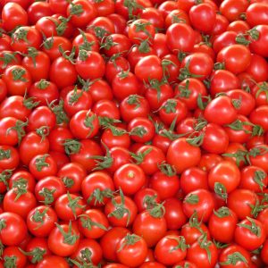 Ricetta pomodori ripieni di riso