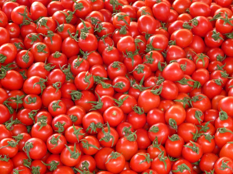 pomodori