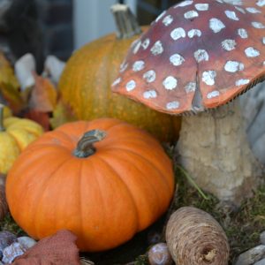 Vellutata di funghi e zucca