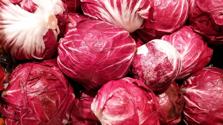 radicchio