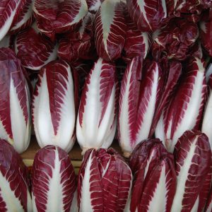 Radicchio rosso con seitan e verdure