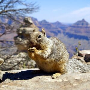 Viaggio avventura, esplorando il Grand Canyon in Arizona