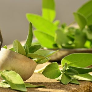 Tagliatelle con pesto di salvia