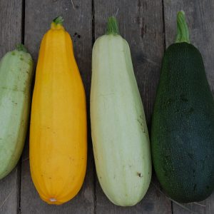 Burger vegetali di zucchine