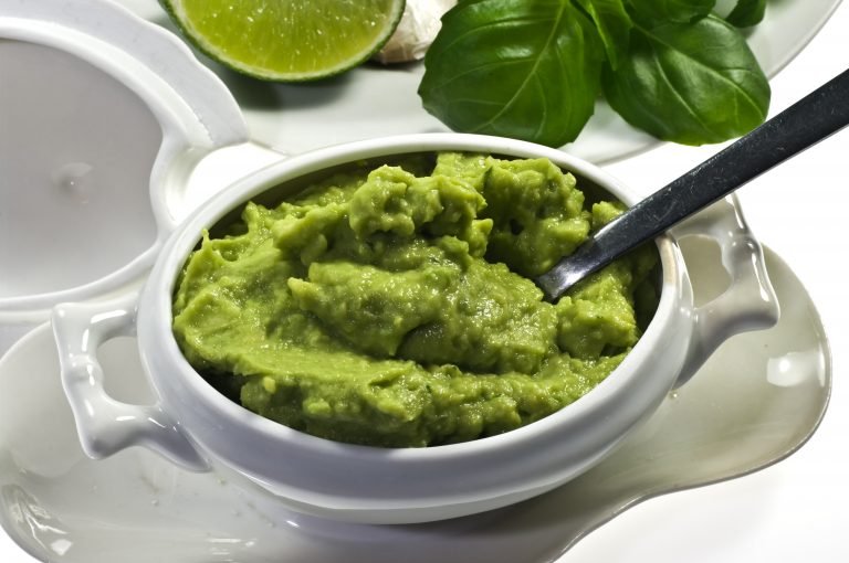 salsa guacamole