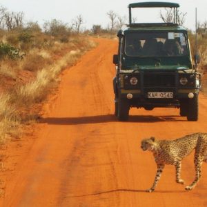 In Kenya per un viaggio safari