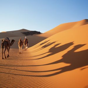 Tour del deserto del Sahara da Beja ad Assuan