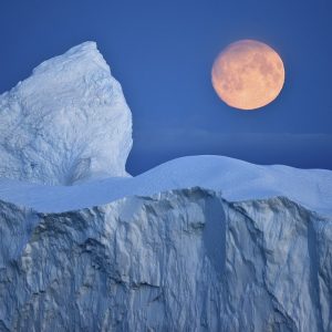 In Antartide per una crociera nei luoghi più remoti della Terra