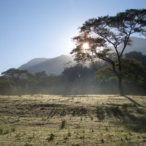 Trekking in Tanzania, sulle cime del Kilimangiaro