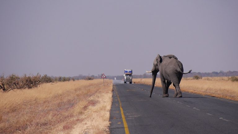 botswana