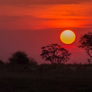 Safari in Botswana, viaggio in Africa tra animali e natura