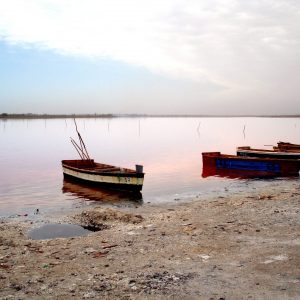 Viaggio in Senegal: safari, natura e cultura