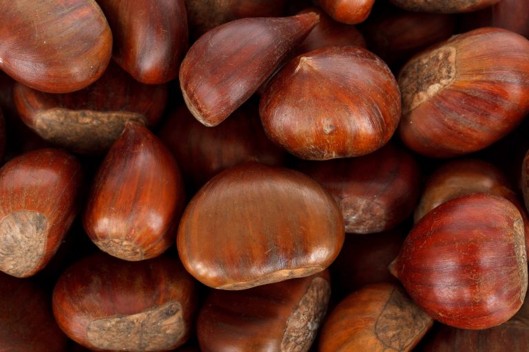 gnocchi di castagne