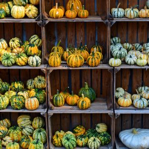 Burger di zucca e lupini