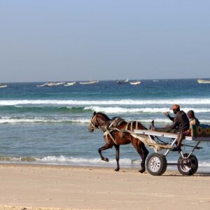 Viaggio in Senegal: safari, natura e cultura