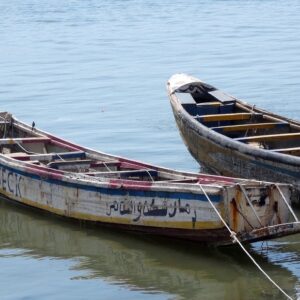 Viaggio in Senegal: safari, natura e cultura