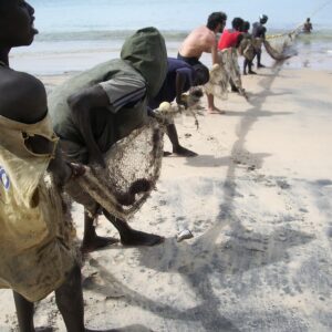 Viaggio in Senegal: safari, natura e cultura