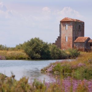 Valli di Comacchio e Delta del Po, tour tra natura e cultura