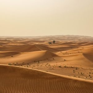 A Capodanno viaggio nel Sahara per la maratona nel deserto