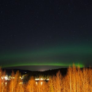 Capodanno in Lapponia: aurora boreale e tour lungo il Sentiero dell’orso