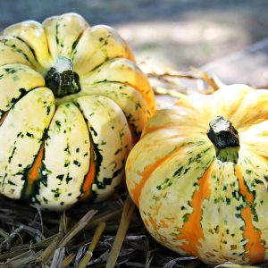 Frittelle di zucca