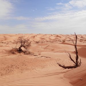 Capodanno in Tunisia, viaggio 4×4 nel deserto del Sahara