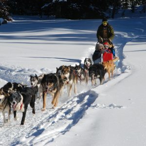 Finlandia in inverno: 8 attività da fare in Lapponia