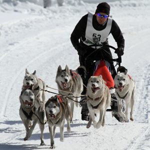 Finlandia in inverno: 8 attività da fare in Lapponia