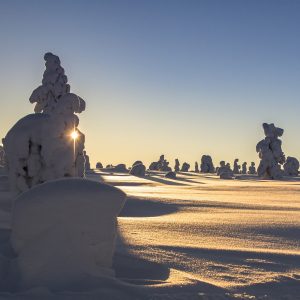 Finlandia in inverno: 8 attività da fare in Lapponia