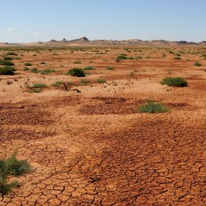 Viaggio avventura in Mongolia, la terra dei nomadi