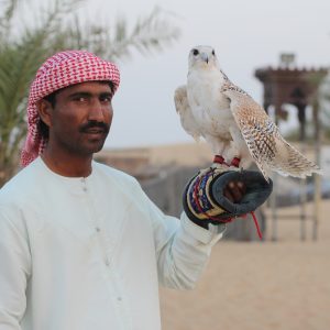 Viaggio negli Emirati Arabi, per avvicinare i falconi a Ras Al Khaimah