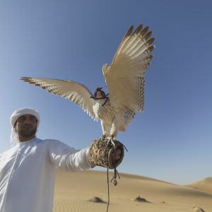 Viaggio negli Emirati Arabi, per avvicinare i falconi a Ras Al Khaimah