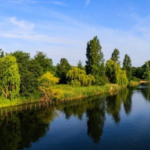 Visitare Londra attraverso i 4 parchi più belli della città