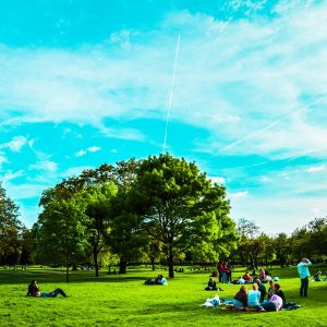 Visitare Londra attraverso i 4 parchi più belli della città