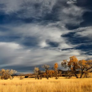 Viaggio naturalistico in Patagonia, l’area intatta dell’Argentina