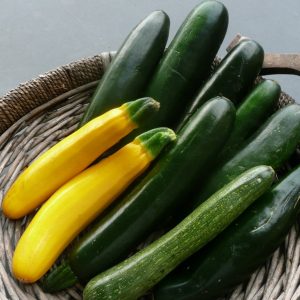 Medaglioni di zucchine