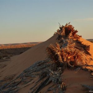 Viaggio nel deserto tunisino con il 4×4