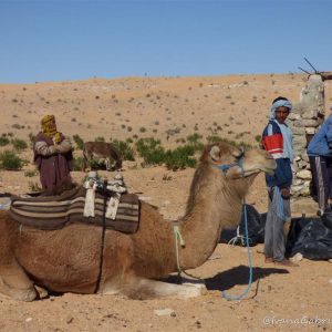 Viaggio nel deserto tunisino con il 4×4