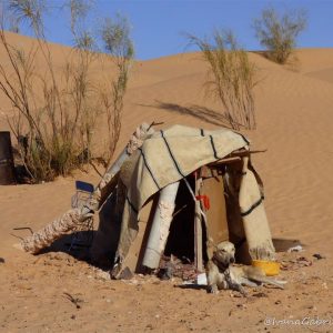 Viaggio nel deserto tunisino con il 4×4