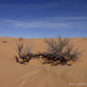 Viaggio nel deserto tunisino con il 4×4