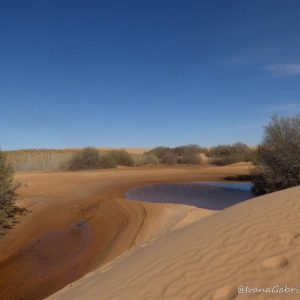 Viaggio nel deserto tunisino con il 4×4