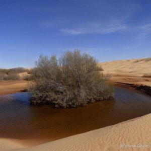 Viaggio nel deserto tunisino con il 4×4