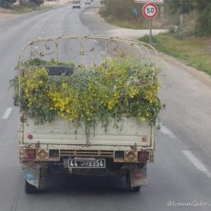 Viaggio nel deserto tunisino con il 4×4