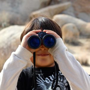 Visitare il Parco del Delta del Po: birdwatching, bicicletta e barca