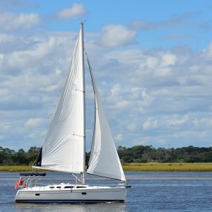 Visitare il Parco del Delta del Po: birdwatching, bicicletta e barca