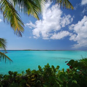 Le Isole Vergini Britanniche e Tortola